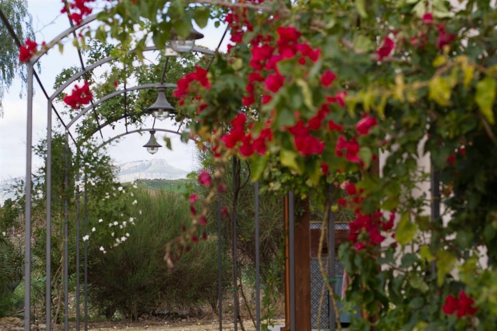 Agriturismo Baglio Donna Santa Dattilo Exterior foto